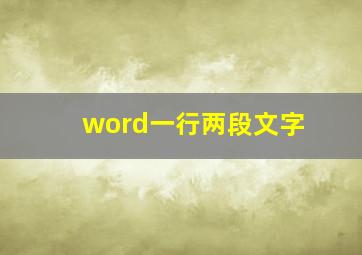 word一行两段文字