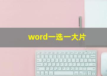 word一选一大片