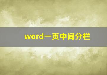 word一页中间分栏