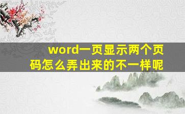 word一页显示两个页码怎么弄出来的不一样呢