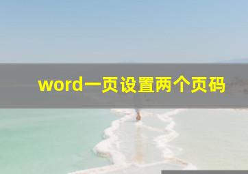 word一页设置两个页码