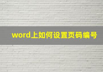 word上如何设置页码编号