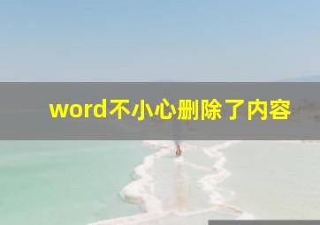 word不小心删除了内容