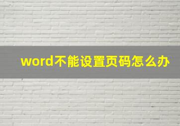 word不能设置页码怎么办