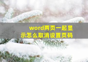 word两页一起显示怎么取消设置页码