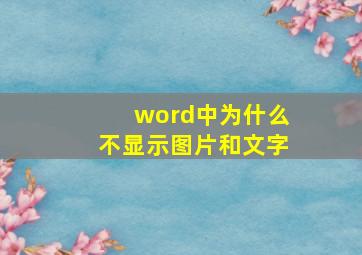 word中为什么不显示图片和文字