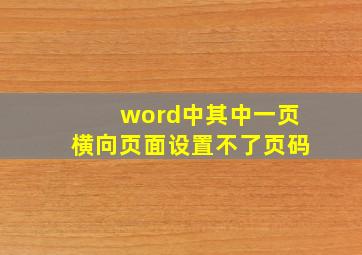 word中其中一页横向页面设置不了页码