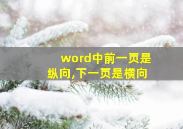 word中前一页是纵向,下一页是横向