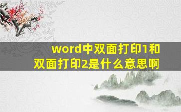 word中双面打印1和双面打印2是什么意思啊