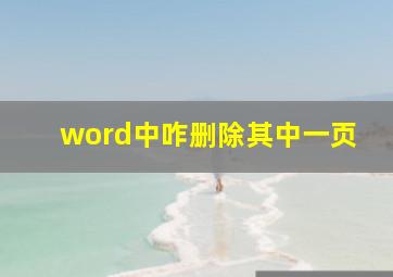 word中咋删除其中一页