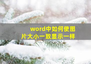 word中如何使图片大小一致显示一样