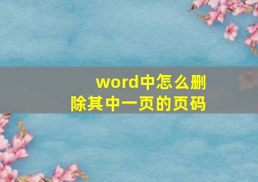 word中怎么删除其中一页的页码