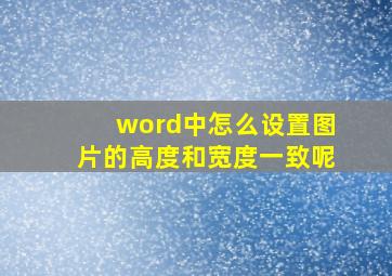 word中怎么设置图片的高度和宽度一致呢