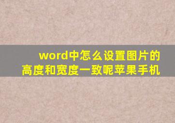 word中怎么设置图片的高度和宽度一致呢苹果手机