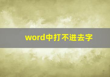 word中打不进去字