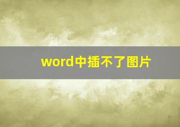 word中插不了图片