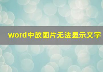 word中放图片无法显示文字