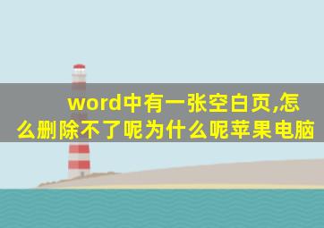 word中有一张空白页,怎么删除不了呢为什么呢苹果电脑