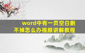 word中有一页空白删不掉怎么办视频讲解教程