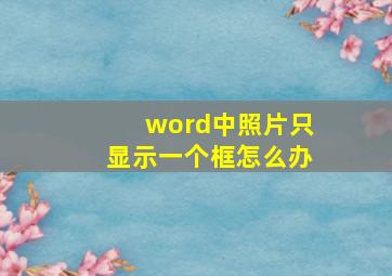 word中照片只显示一个框怎么办