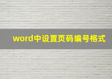 word中设置页码编号格式