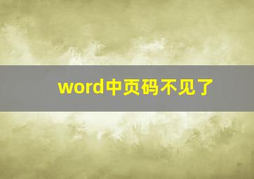 word中页码不见了