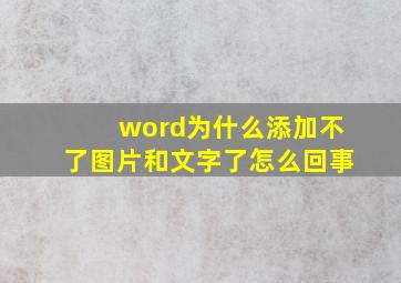 word为什么添加不了图片和文字了怎么回事