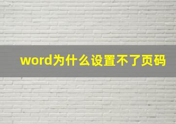 word为什么设置不了页码