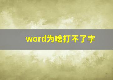 word为啥打不了字