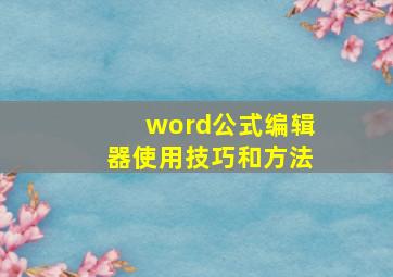 word公式编辑器使用技巧和方法