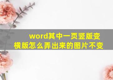 word其中一页竖版变横版怎么弄出来的图片不变