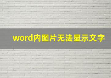 word内图片无法显示文字