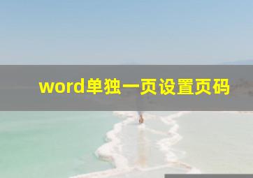 word单独一页设置页码