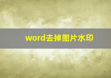 word去掉图片水印