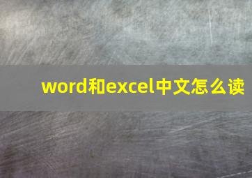 word和excel中文怎么读