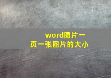 word图片一页一张图片的大小