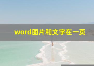 word图片和文字在一页