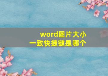 word图片大小一致快捷键是哪个