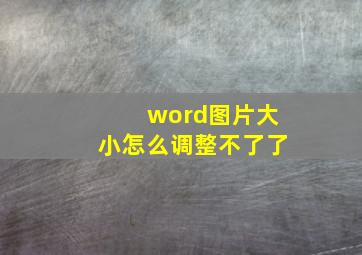 word图片大小怎么调整不了了