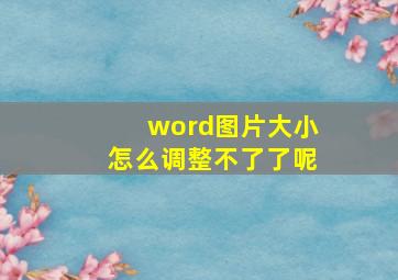 word图片大小怎么调整不了了呢