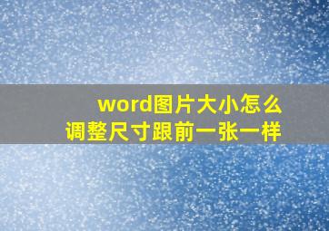 word图片大小怎么调整尺寸跟前一张一样