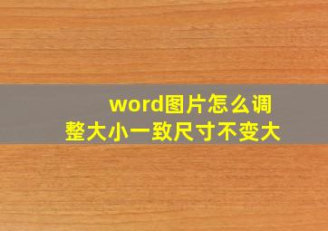 word图片怎么调整大小一致尺寸不变大