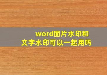 word图片水印和文字水印可以一起用吗