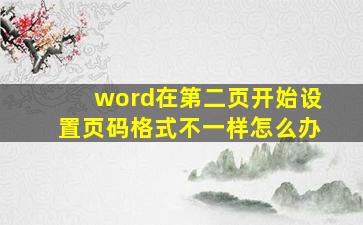 word在第二页开始设置页码格式不一样怎么办