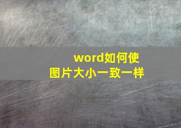 word如何使图片大小一致一样