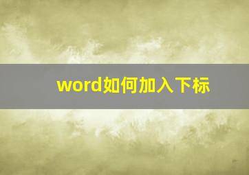 word如何加入下标