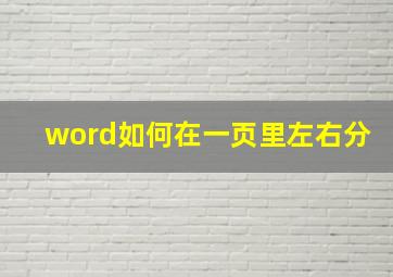 word如何在一页里左右分