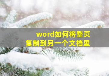 word如何将整页复制到另一个文档里