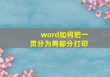 word如何把一页分为两部分打印