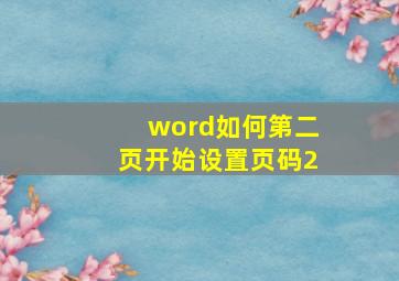 word如何第二页开始设置页码2